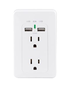 2OL 2USB WALL MNT