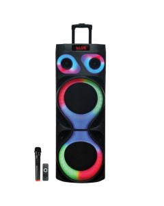 2X12IN TW PRO DJ PRTY SPK